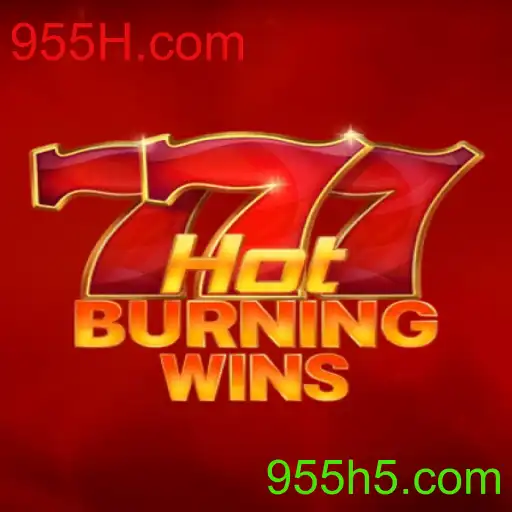 Explorando o Vibrante Mundo do Jogo HotBurningWins: Uma Aposta Emocionante